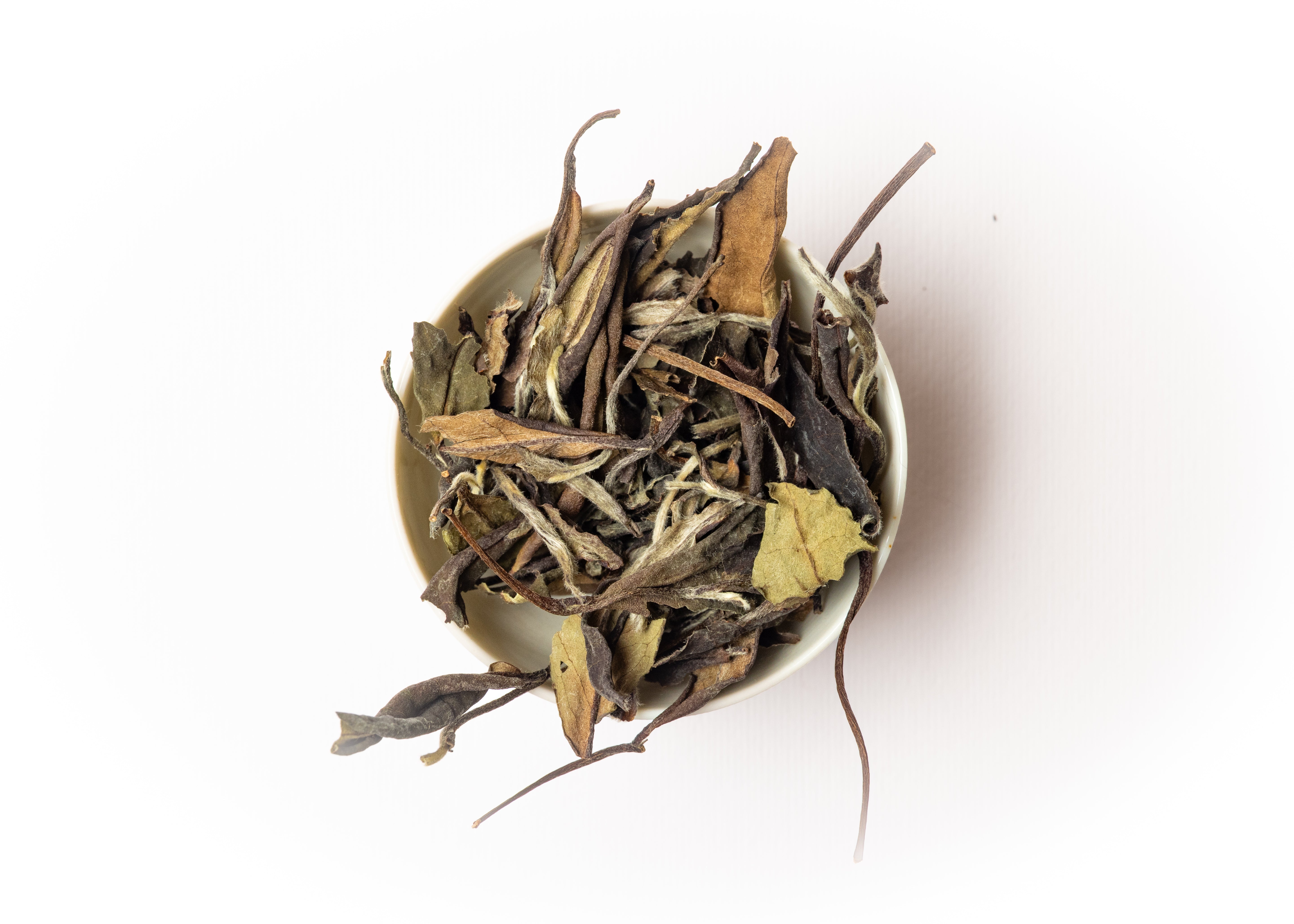 Malaysian-aged Shou Mei White Tea